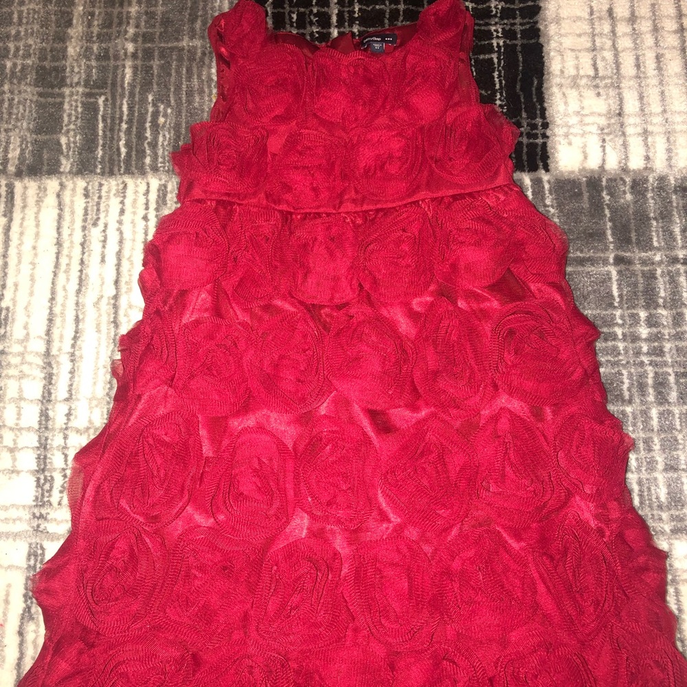 Girl’s Rose Dress